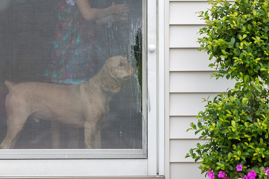 Signs It's Time to Replace Your Screen Door